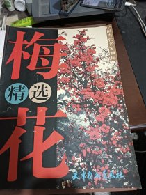 中国当代名家画库.梅花精选