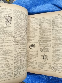 Webster's new Twentieth Century Dictionary of the English Language Unabridged 英文原版，1969，巨厚10.7cm。 大16开2400多页插绘带彩色插图。前后封用钢钉卯装。