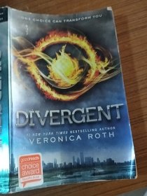 Divergent分歧者