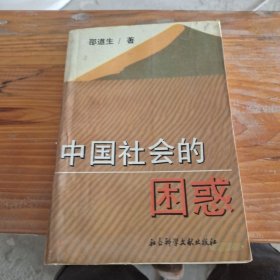 中国社会的困惑