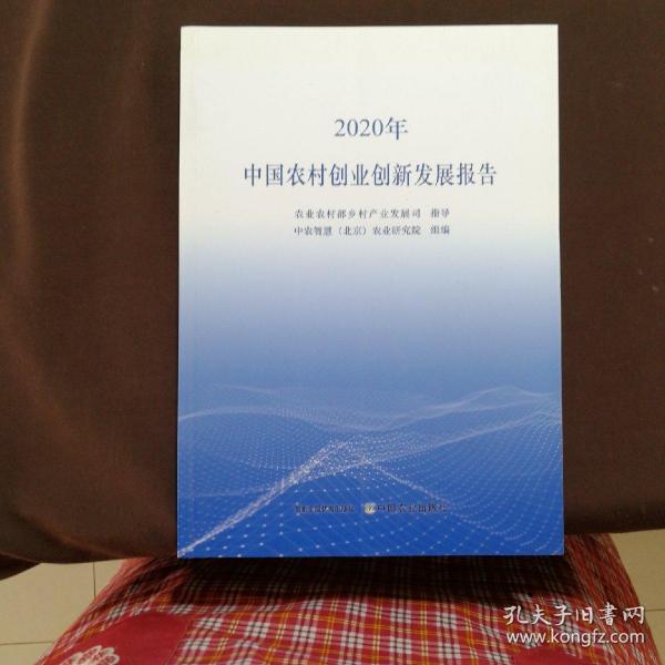 中国农村创业创新发展报告（2020年）