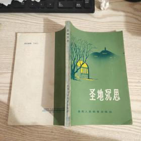 圣地沉思——延安教学优秀文选