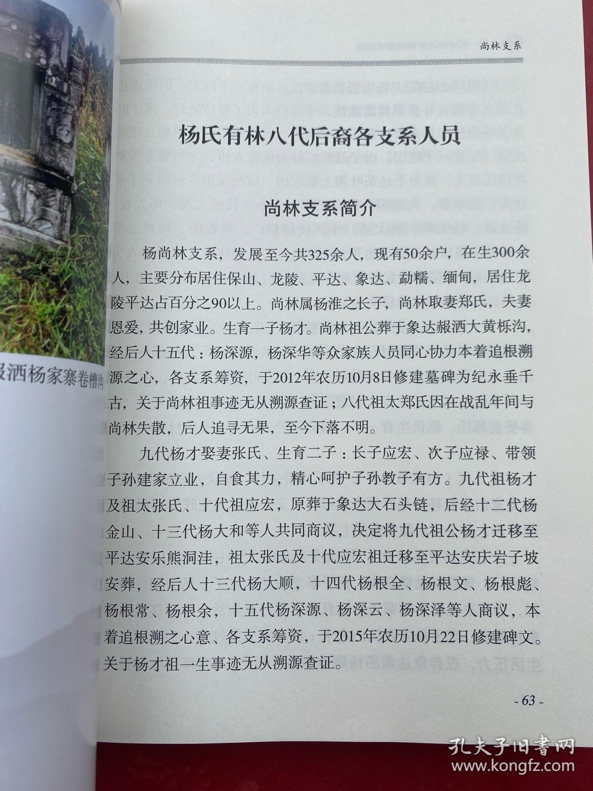 龙陵·赧洒杨氏有林祖续修支谱 杨氏支谱 大16开精装