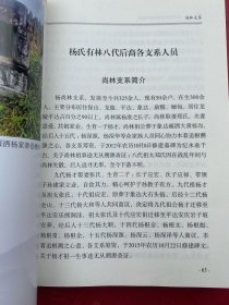 龙陵·赧洒杨氏有林祖续修支谱 杨氏支谱 大16开精装