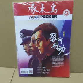 啄木鸟期刊2020年第9期