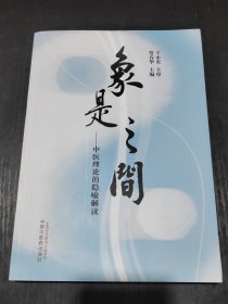 象是之间 : 中医理论的隐喻解读