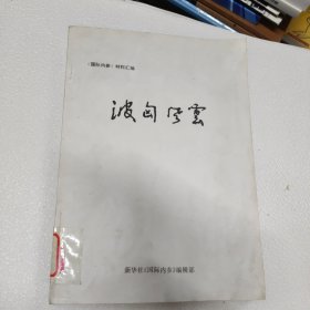 《波匈风云》 ——新华社《国际内参》编辑部