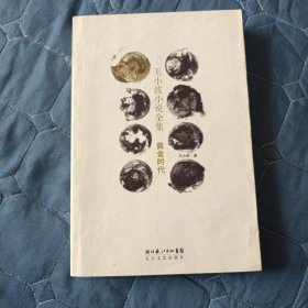 【小说】黄金时代（软精装）