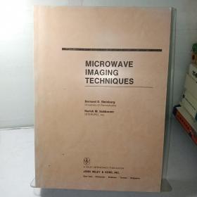 Microwave Imaging Techniques
微波成像技术