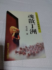 小说一中国古今大战纪实 魂散丁洲