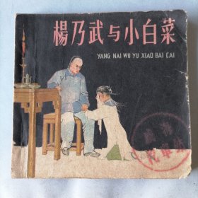 杨乃武与小白菜（48开老版平装连环画，馆藏本，朝花美术出版社，1963年8月一版一印，年代久远，品相请见图片）