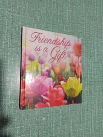 【外文版】Friendship is a Gift