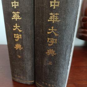 中华大字典（缩印本全二册）