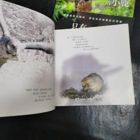 感动全球的摄影狂想曲系列：迷路的小鹿  只有一个星球  森林里的陌生人  3本