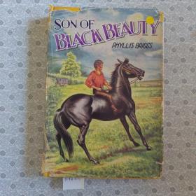 Son of Black Beauty Phylis Briggs 英语进口原版精装