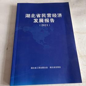 湖北省民营经济发展报告2021