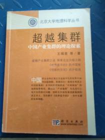 超越集群：中国产业集群的理论探索