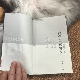 文史知识文库：词学名词释义