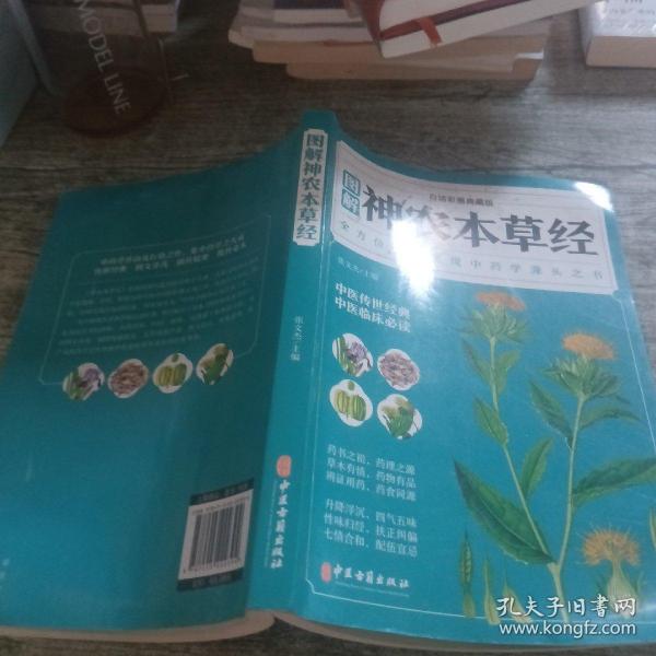 图解神农本草经