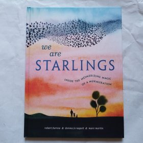 we are starlings inside the mesmerizing magic of a murmuration 英文绘本 精装绘本 儿童绘本