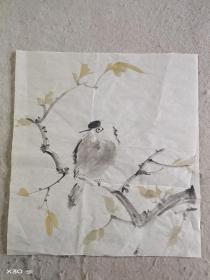 孤独鸟