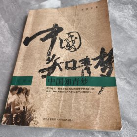 中国知青梦