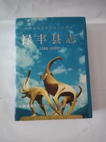 禄丰县志，16开精装本，2001年，云南人民。。