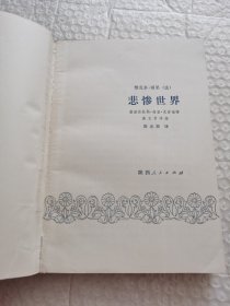 悲惨世界（节译本）