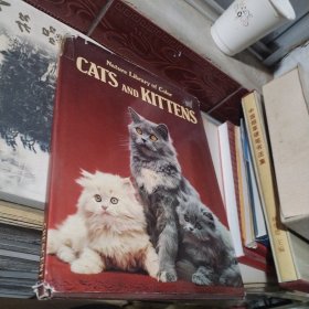 CATSANDKITTENS见图