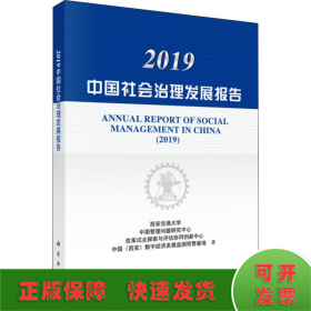 2019中国社会治理发展报告