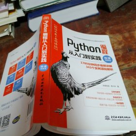 Python编程从入门到实践（微课视频版）正版一版一印