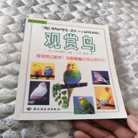 宠物喂养与训练：怎样和小兔和睦相处