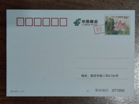 映日荷花邮资图明信片（正常片样品）