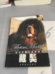 来自青藏高原的神犬：藏獒。