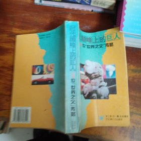時代巔峰上的巨人（120位世界之父傳略）