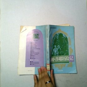汤姆沙耶历险记