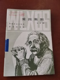 外国历史小丛书 爱因斯坦