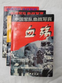 中国军队血战写真第一部 血殇 第二部 血潮 第三部 血魂（可作军史）