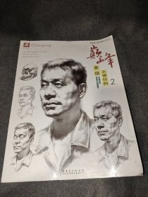 巔峰 素描頭像結(jié)構(gòu)2