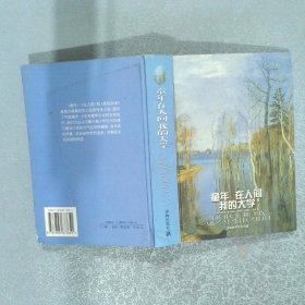 譯林世界文學(xué)名著  童年 在人間 我的大學(xué)