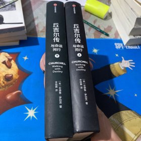 丘吉尔传 上下