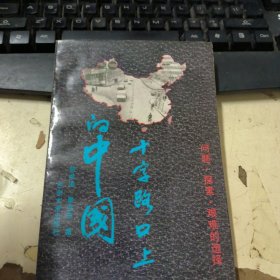 十字路口上的中国,问题·探索·艰难的选择