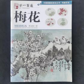 学一百通·中国画基础技法丛书·写意花鸟/梅花（全新正版书）