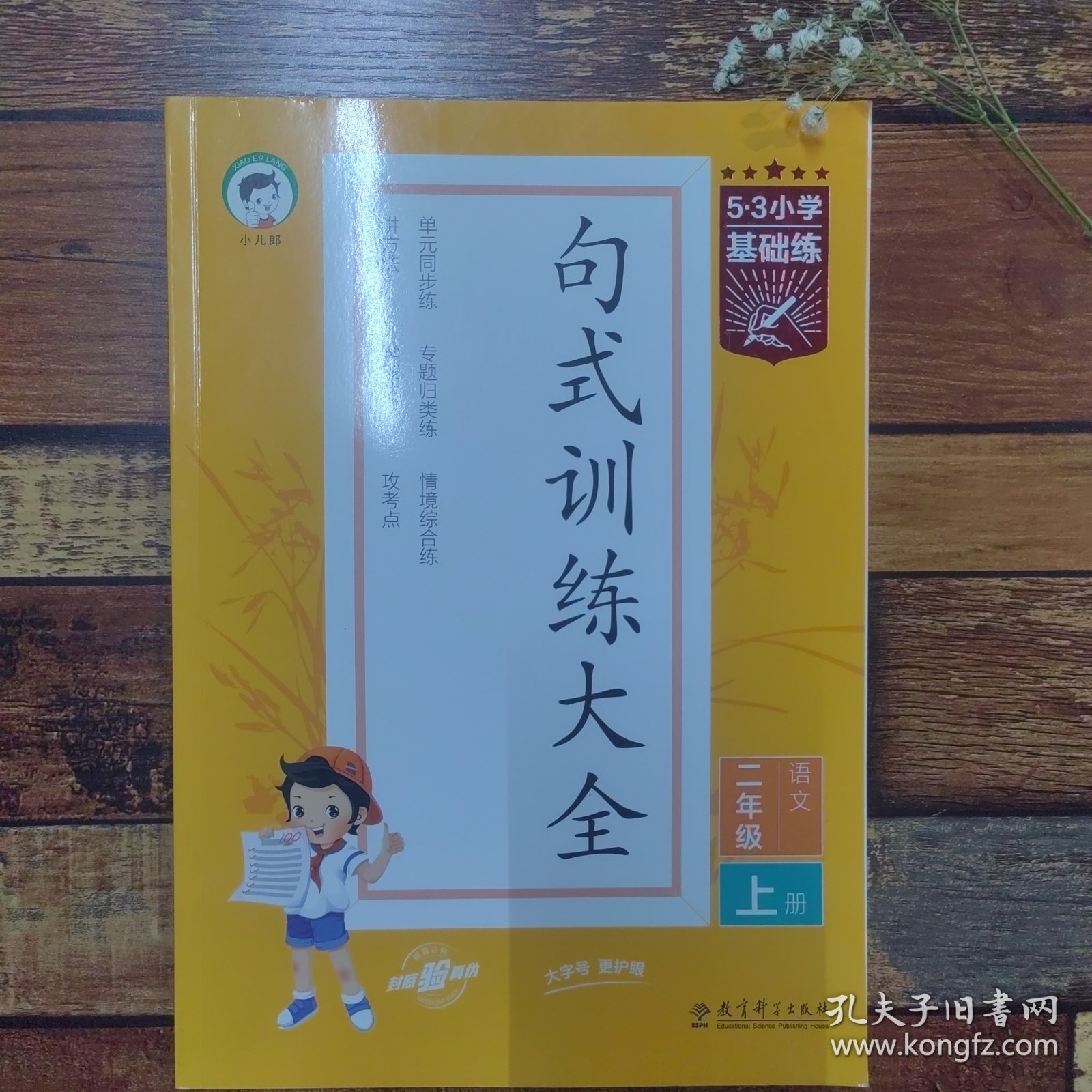 53小学基础练句式训练大全语文二年级上册