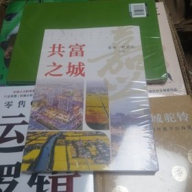 共富之城