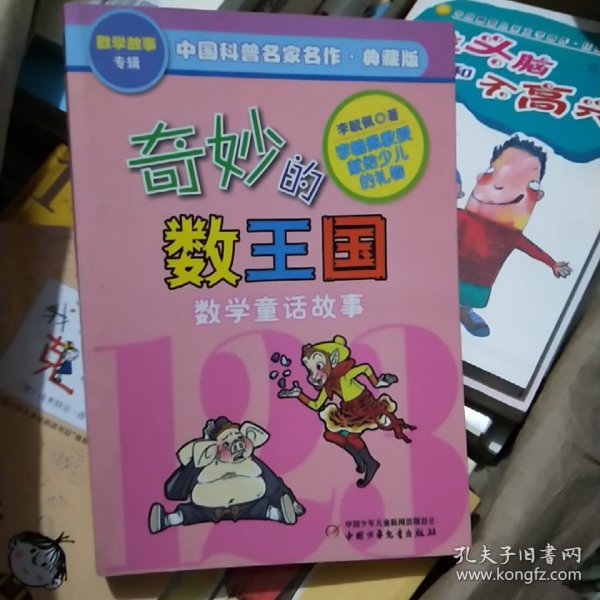 奇妙的数王国