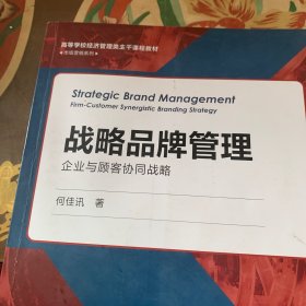 战略品牌管理——企业与顾客协同战略(高等学校经济管理类主干课程教材·市场营销系列）