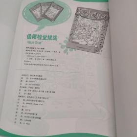 极限视觉挑战：画龙点睛