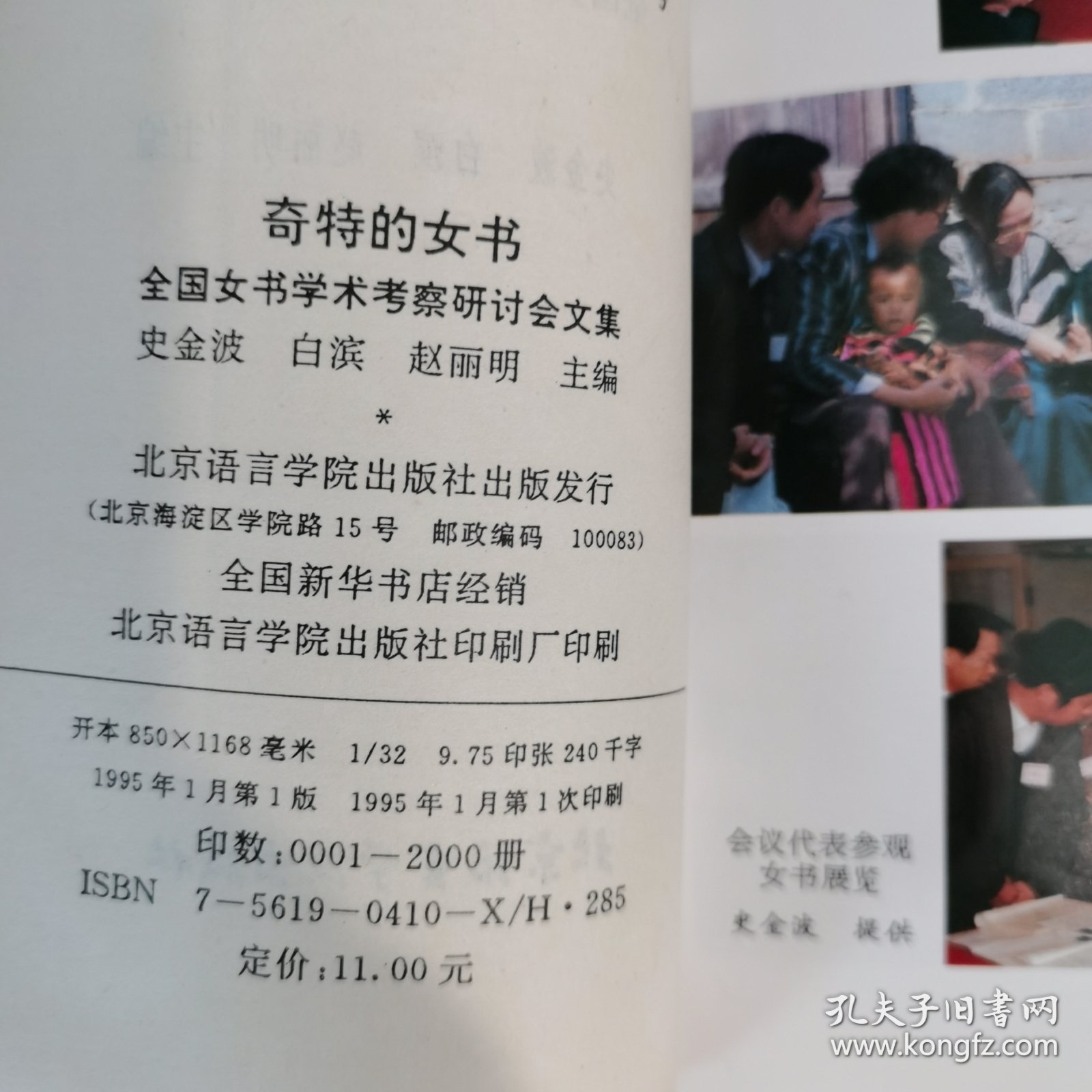 奇特的女书:全国女书学术考察研讨会论文集