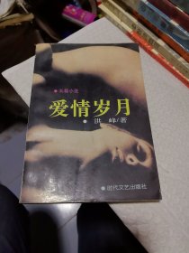爱情岁月 洪峰 著